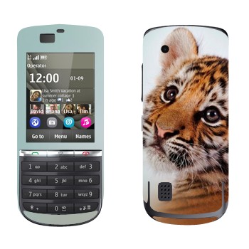   «»   Nokia 300 Asha