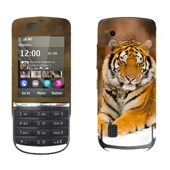   « »   Nokia 300 Asha