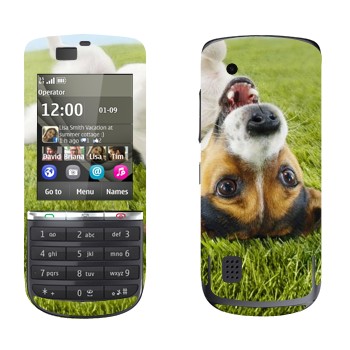   «   »   Nokia 300 Asha