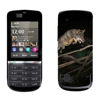   «  »   Nokia 300 Asha