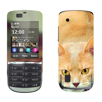   «  »   Nokia 300 Asha