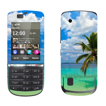 Nokia 300 Asha