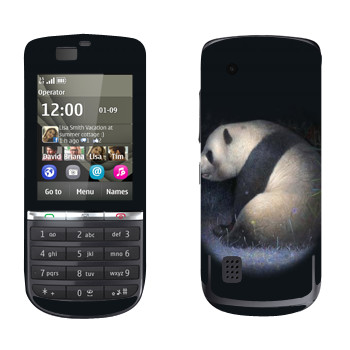   «»   Nokia 300 Asha