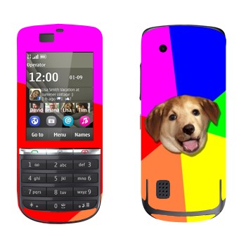   «Advice Dog»   Nokia 300 Asha