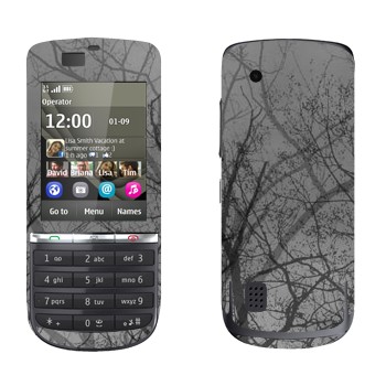 Nokia 300 Asha