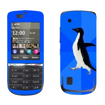   «  »   Nokia 300 Asha