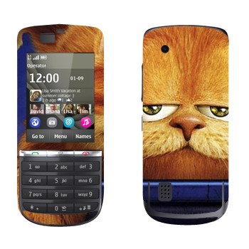   « 3D»   Nokia 300 Asha