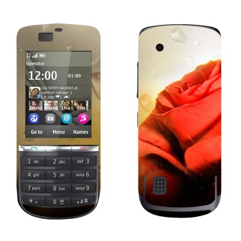   « »   Nokia 300 Asha