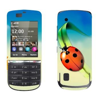   «   »   Nokia 300 Asha