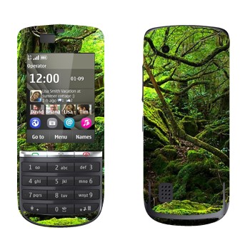   «  »   Nokia 300 Asha