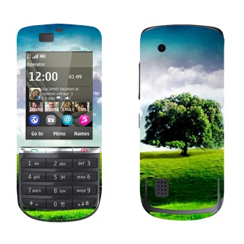   «   »   Nokia 300 Asha