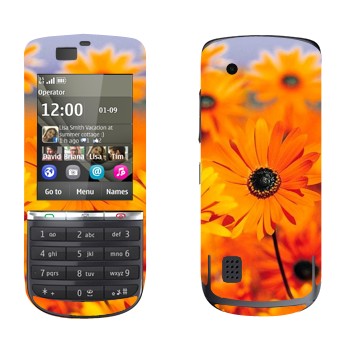   «  »   Nokia 300 Asha