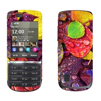 Nokia 300 Asha