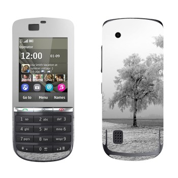   « »   Nokia 300 Asha