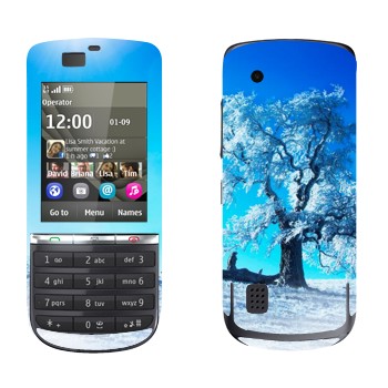   « »   Nokia 300 Asha