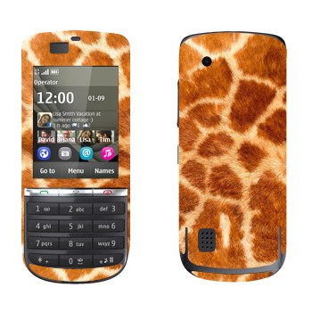 Nokia 300 Asha