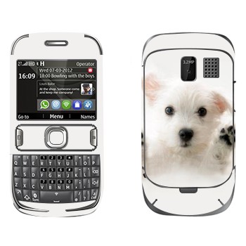   « »   Nokia 302 Asha