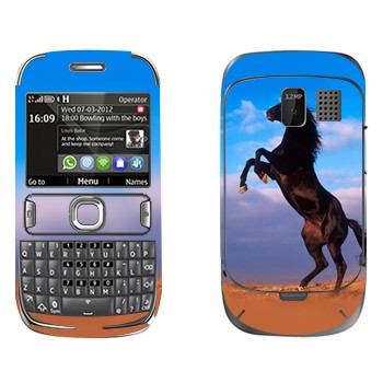   «  »   Nokia 302 Asha