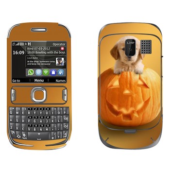   «  »   Nokia 302 Asha