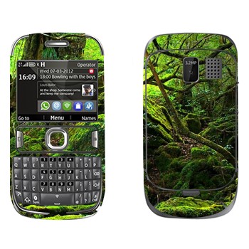 Nokia 302 Asha