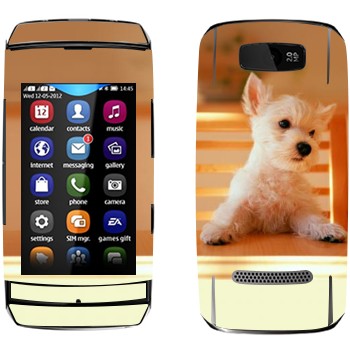   «  »   Nokia 305 Asha