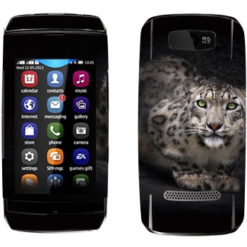 Nokia 305 Asha