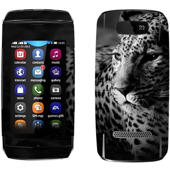 Nokia 305 Asha