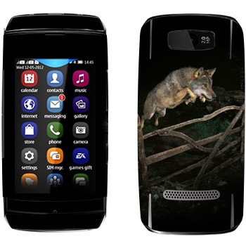   «  »   Nokia 305 Asha