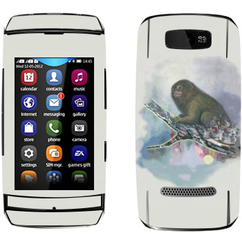   «   - Kisung»   Nokia 305 Asha