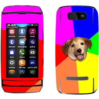   «Advice Dog»   Nokia 305 Asha