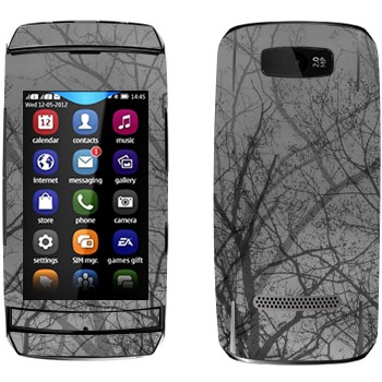   «»   Nokia 305 Asha