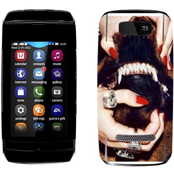   «Givenchy  »   Nokia 305 Asha
