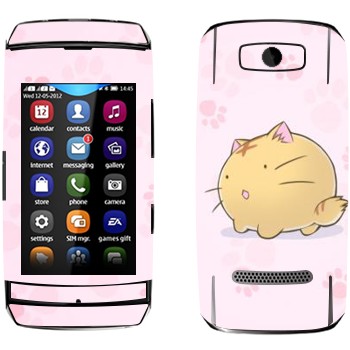   «Poyopoyo - Kawaii»   Nokia 306 Asha