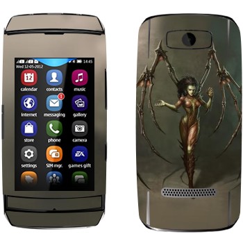   «     - StarCraft 2»   Nokia 306 Asha