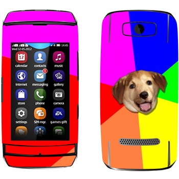   «Advice Dog»   Nokia 306 Asha