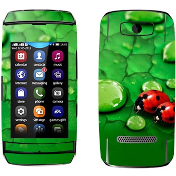 Nokia 306 Asha