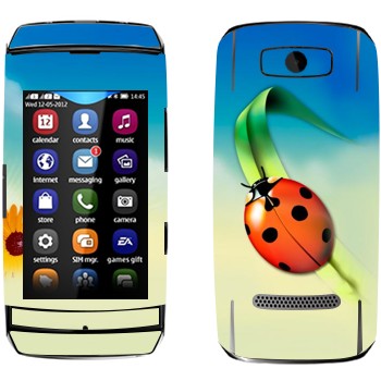   «   »   Nokia 306 Asha