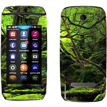   «  »   Nokia 306 Asha