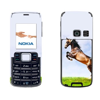   «    »   Nokia 3110 Classic