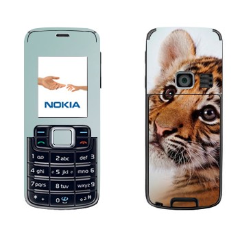   «»   Nokia 3110 Classic