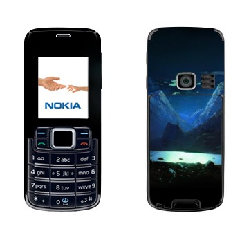   «  -  »   Nokia 3110 Classic