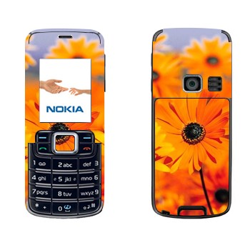   «  »   Nokia 3110 Classic