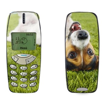   «   »   Nokia 3310