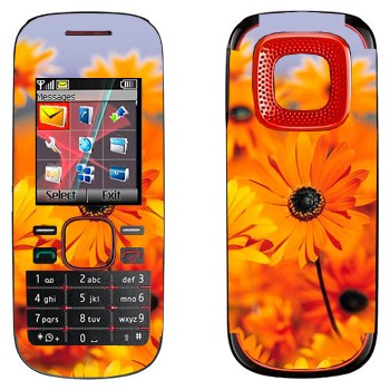   «  »   Nokia 5030