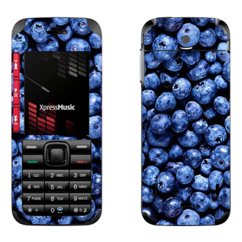   «»   Nokia 5310