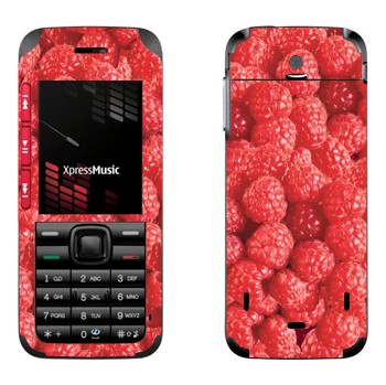 Nokia 5310