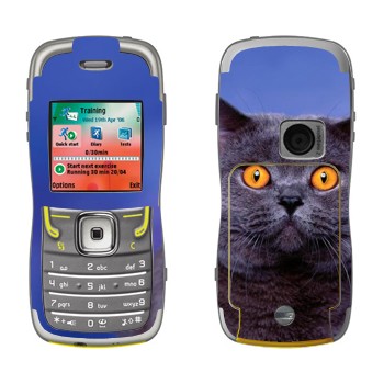   «-»   Nokia 5500