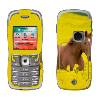   «  »   Nokia 5500