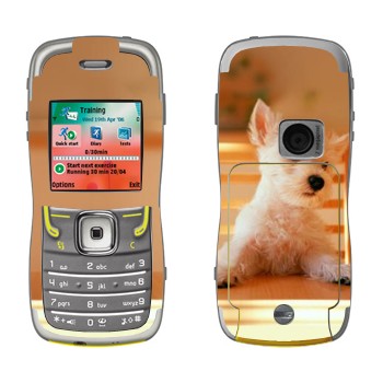   «  »   Nokia 5500