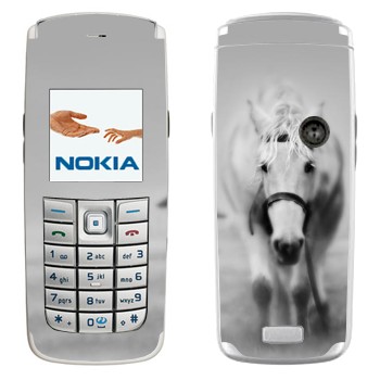 Nokia 6020